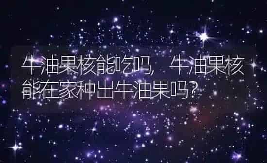 牛油果核能吃吗,牛油果核能在家种出牛油果吗？ | 养殖科普