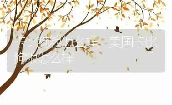 卡比狗粮怎么样,美国卡比狗粮怎么样 | 养殖科普