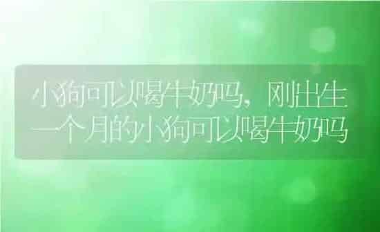 小狗可以喝牛奶吗,刚出生一个月的小狗可以喝牛奶吗 | 养殖科普
