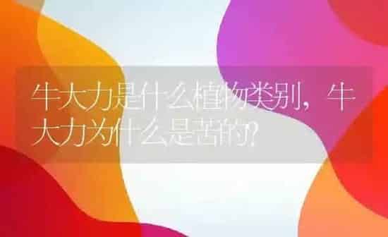 牛大力是什么植物类别,牛大力为什么是苦的？ | 养殖科普
