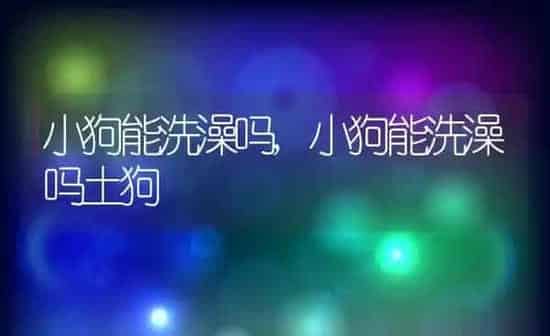 小狗能洗澡吗,小狗能洗澡吗土狗 | 养殖科普