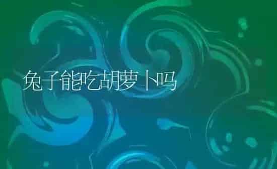 兔子能吃胡萝卜吗 | 养殖科普