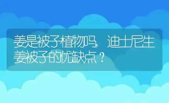 小猫能喝牛奶吗,小猫能喝牛奶吗 一个月 | 养殖科普