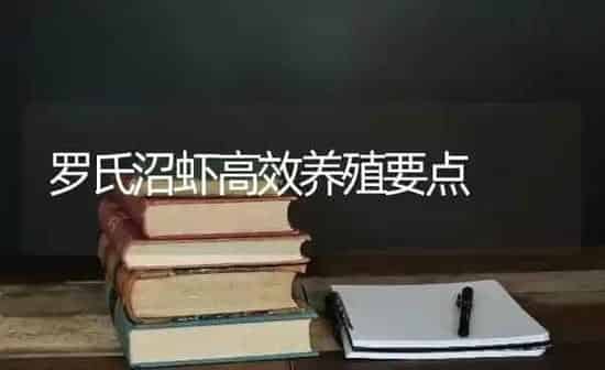 罗氏沼虾高效养殖要点 | 养殖知识