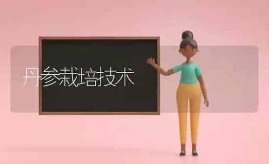 丹参栽培技术 | 养殖知识