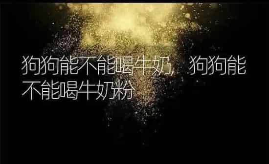 狗狗能不能喝牛奶,狗狗能不能喝牛奶粉 | 养殖科普