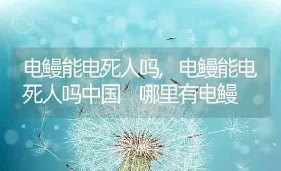 电鳗能电死人吗,电鳗能电死人吗中国 哪里有电鳗 | 养殖资料