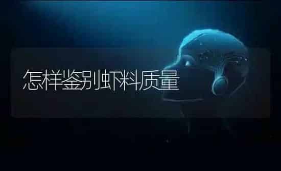 怎样鉴别虾料质量 | 养殖知识