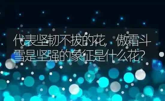 狗可以吃猫粮吗,狗可以吃猫粮吗正确答案 | 养殖科普
