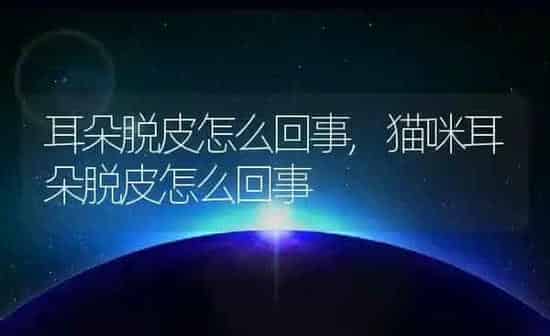 耳朵脱皮怎么回事,猫咪耳朵脱皮怎么回事 | 养殖科普