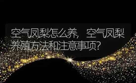 空气凤梨怎么养,空气凤梨养殖方法和注意事项？ | 养殖科普