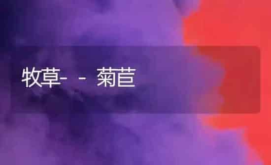 牧草--菊苣 | 养殖知识
