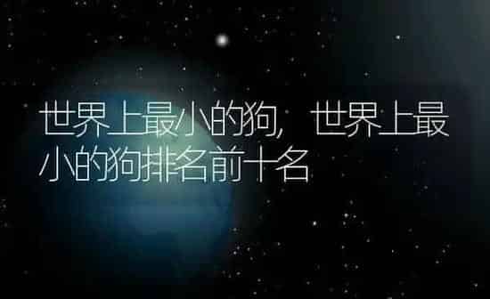 世界上最小的狗,世界上最小的狗排名前十名 | 养殖科普