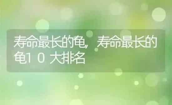 寿命最长的龟,寿命最长的龟10大排名 | 养殖资料