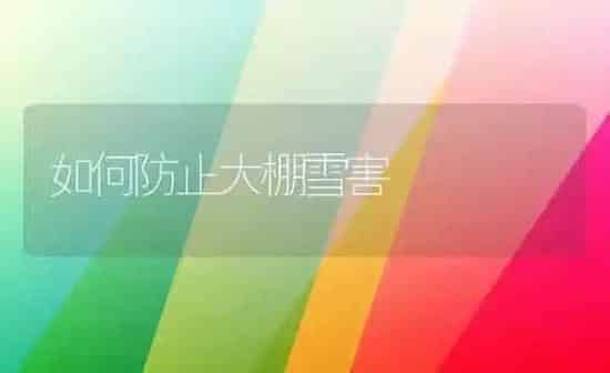 如何防止大棚雪害 | 养殖知识