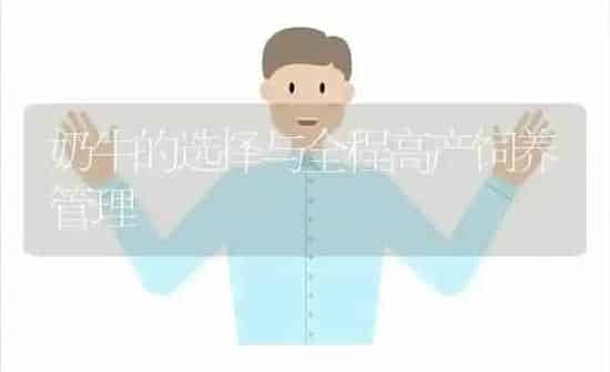 奶牛的选择与全程高产饲养管理 | 养殖知识