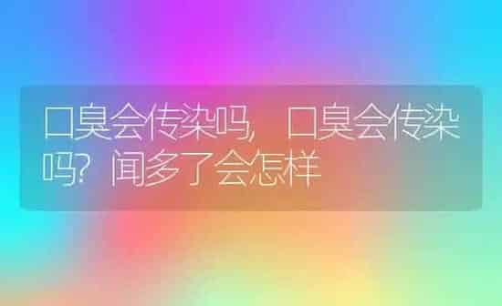 关于狗的故事,关于狗的故事简短 | 养殖科普