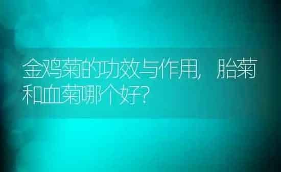 金鸡菊的功效与作用,胎菊和血菊哪个好？ | 养殖学堂
