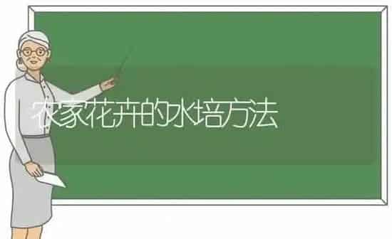 农家花卉的水培方法 | 养殖知识