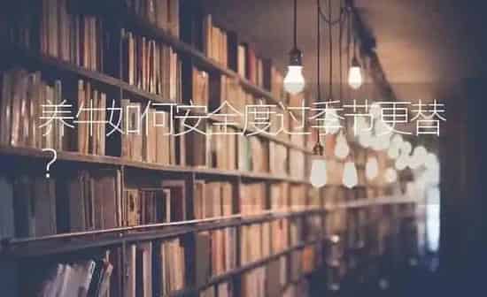 养牛如何安全度过季节更替? | 养殖技术大全