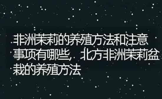 非洲茉莉的养殖方法和注意事项有哪些,北方非洲茉莉盆栽的养殖方法 | 养殖学堂