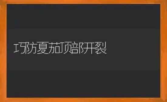 巧防夏茄顶部开裂 | 养殖知识