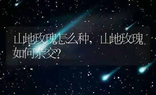 山地玫瑰怎么种,山地玫瑰如何杂交? | 养殖科普