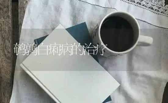 鹌鹑白痢病的治疗 | 养殖技术大全