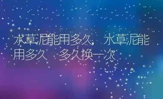 水草泥能用多久,水草泥能用多久 多久换一次 | 养殖资料