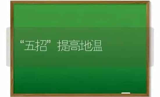 “五招”提高地温 | 养殖知识
