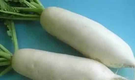 种白萝卜的正确方法 | 生活妙招