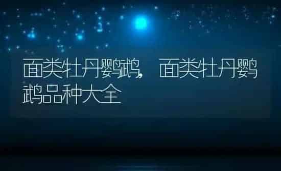 面类牡丹鹦鹉,面类牡丹鹦鹉品种大全 | 养殖科普