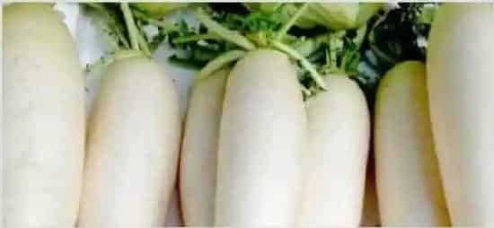 种白萝卜的正确方法 | 生活妙招