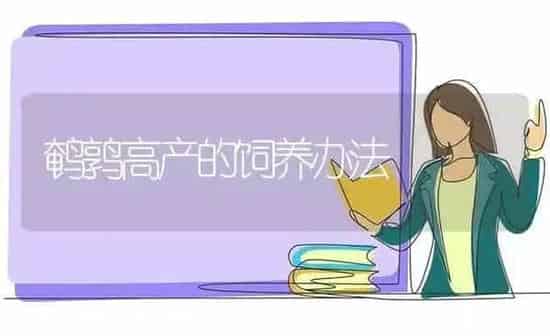 鹌鹑高产的饲养办法 | 养殖技术大全