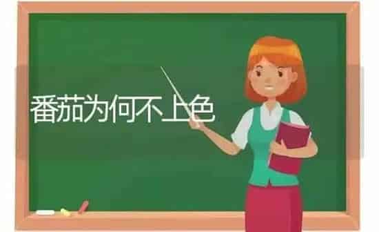 番茄为何不上色 | 养殖知识