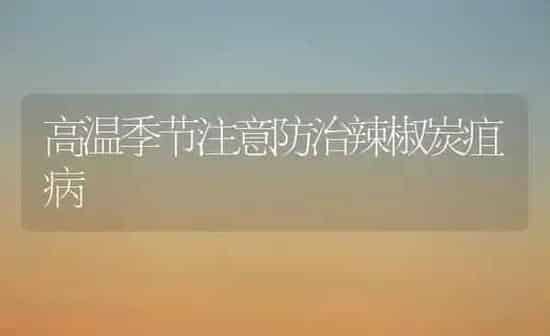 高温季节注意防治辣椒炭疽病 | 养殖知识