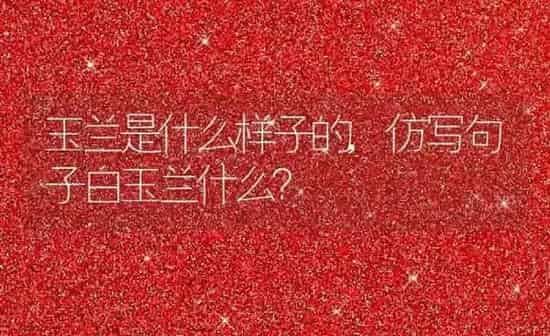玉兰是什么样子的,仿写句子白玉兰什么？ | 养殖科普