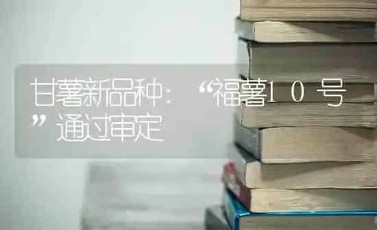 甘薯新品种：“福薯10号”通过审定 | 养殖知识