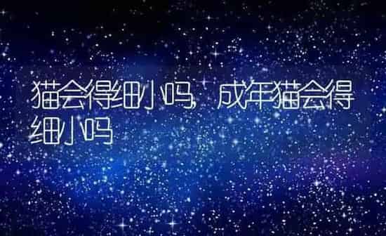 猫会得细小吗,成年猫会得细小吗 | 养殖资料