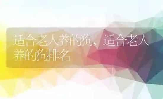 适合老人养的狗,适合老人养的狗排名 | 养殖科普