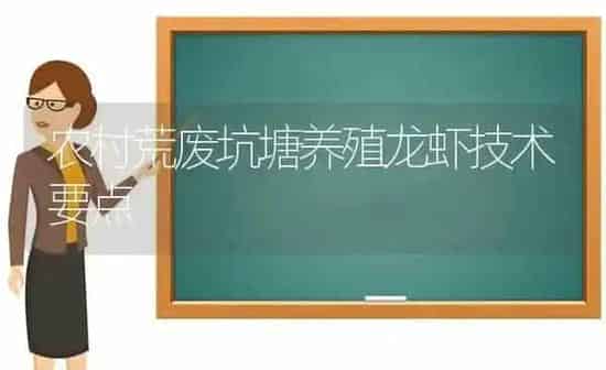 农村荒废坑塘养殖龙虾技术要点 | 养殖技术大全