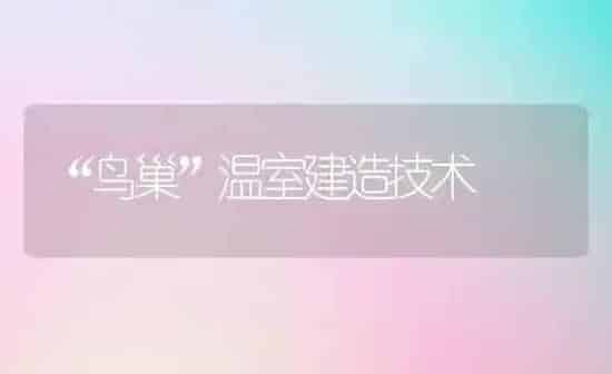 “鸟巢”温室建造技术 | 养殖知识