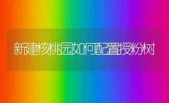 新建核桃园如何配置授粉树 | 养殖知识