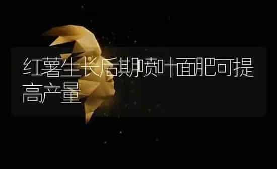 红薯生长后期喷叶面肥可提高产量 | 养殖知识