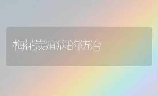 梅花炭疽病的防治 | 养殖知识