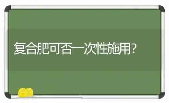 复合肥可否一次性施用? | 养殖知识