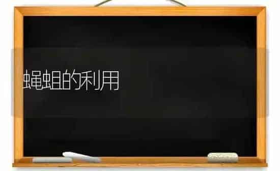 蝇蛆的利用 | 养殖知识