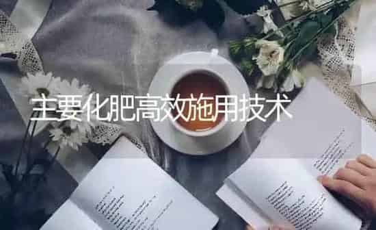 主要化肥高效施用技术 | 养殖知识