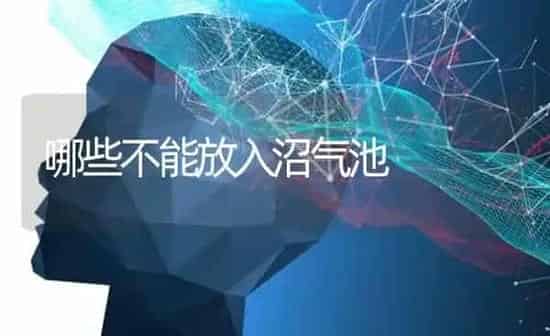 哪些不能放入沼气池 | 养殖知识