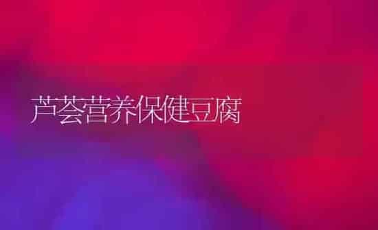 芦荟营养保健豆腐 | 养殖技术大全